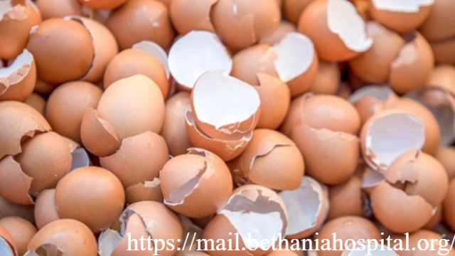 Inovasi dari Limbah Dapur: Manfaat Cangkang Telur